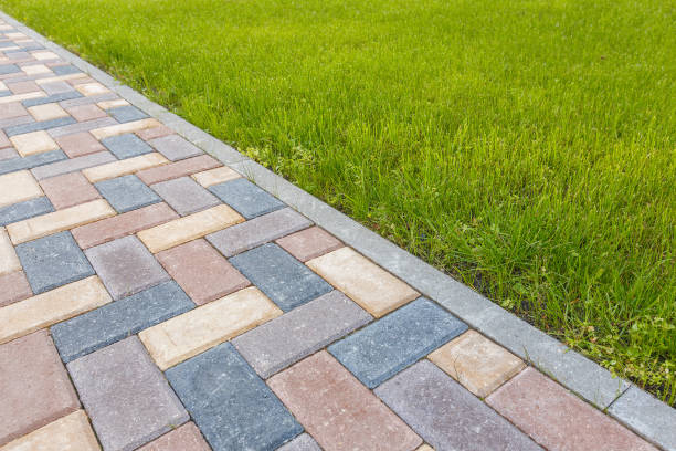Best Driveway Pavers Near Me  in East Franklin, NJ